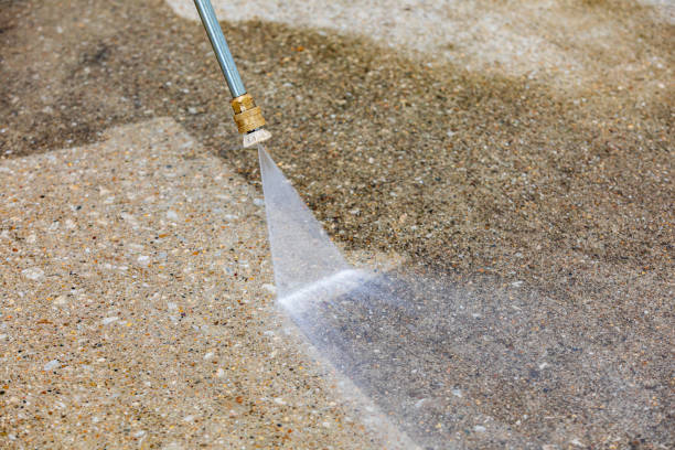 Animal Enclosure Cleaning in Shadow Lake, WA